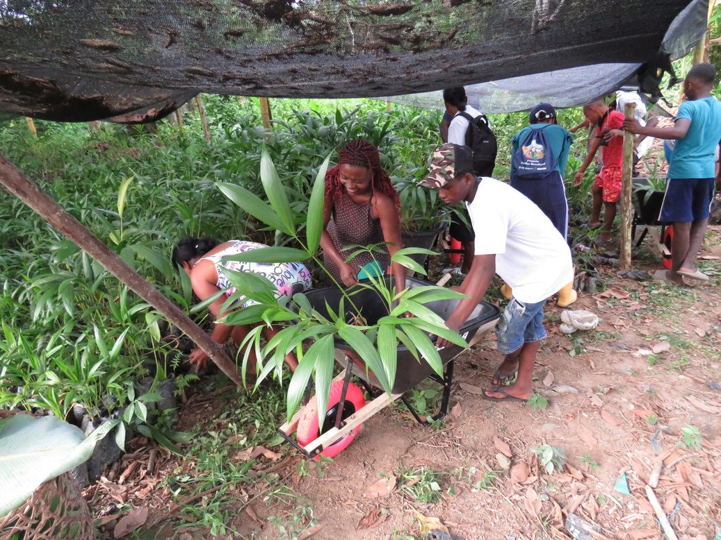Trabajo de campo