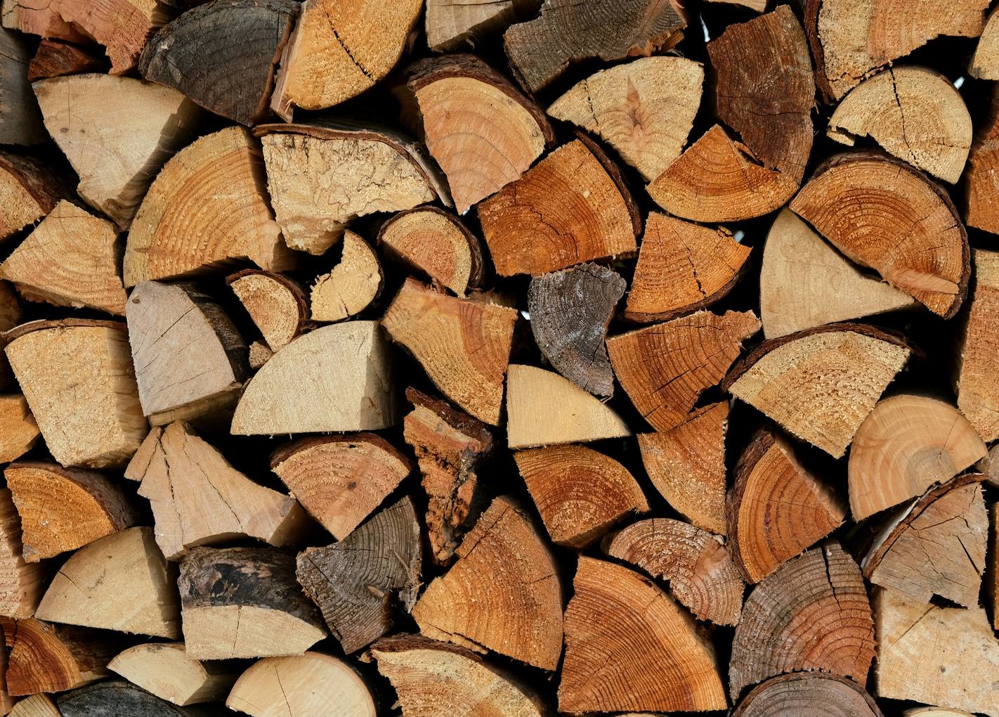 Manejo forestal sostenible – maderables