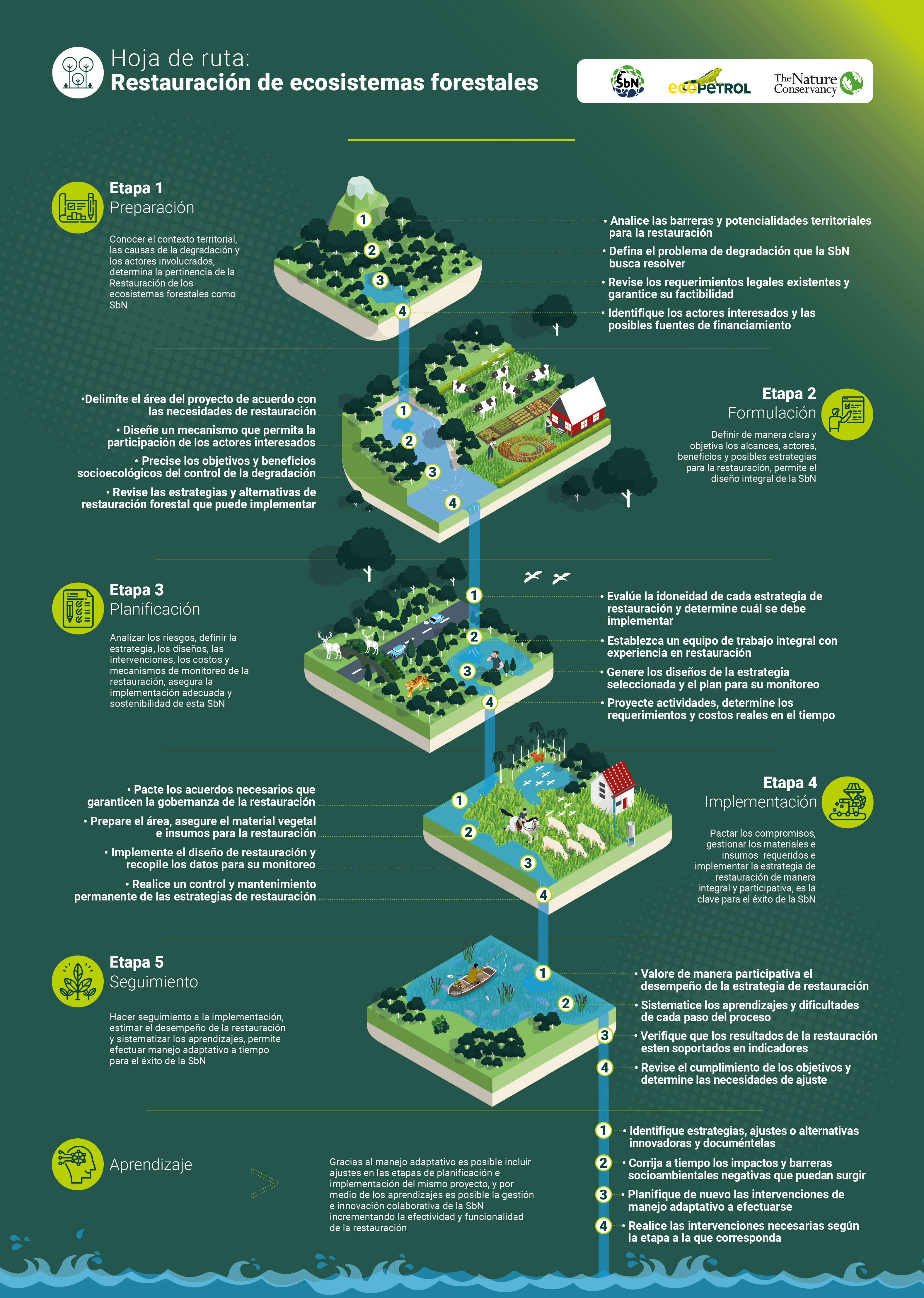 Restauración de ecosistemas forestales