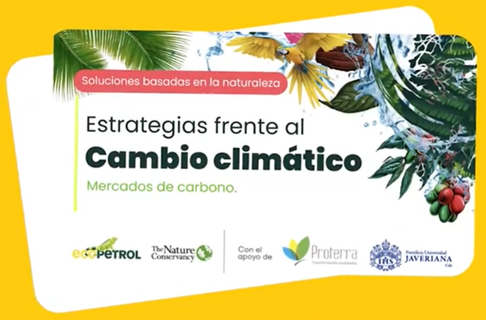 Estrategias frente al cambio climático. Mercados de carbono