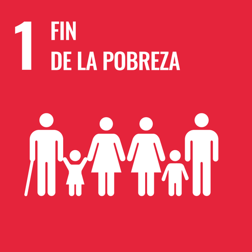 SDG icon