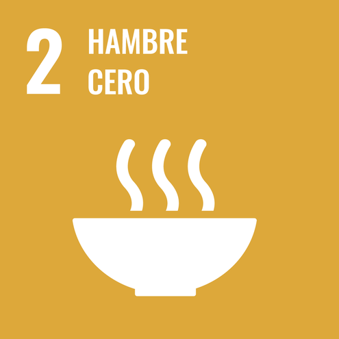 SDG icon