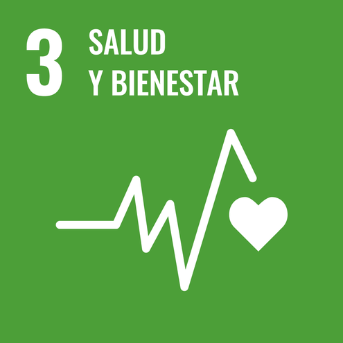 SDG icon