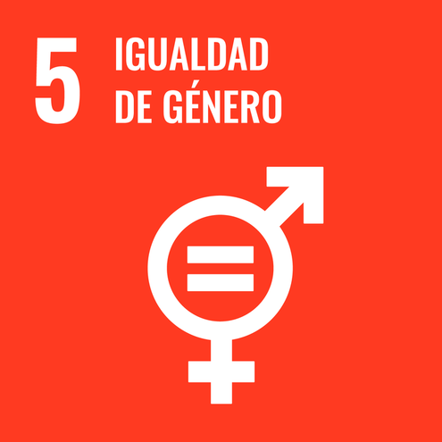 SDG icon