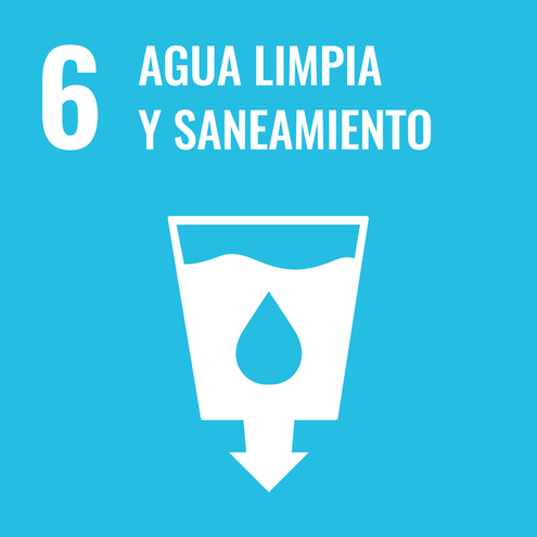 SDG icon