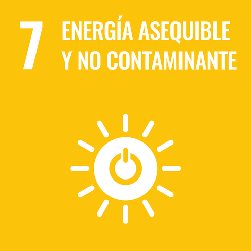 SDG icon