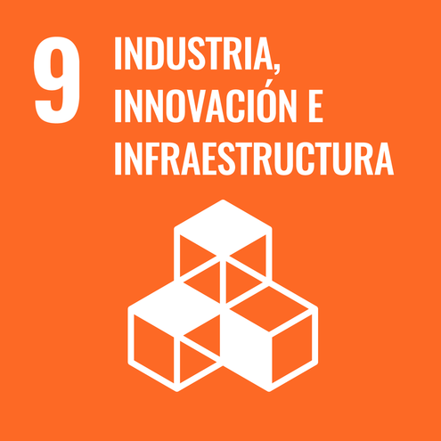 SDG icon
