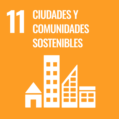 SDG icon