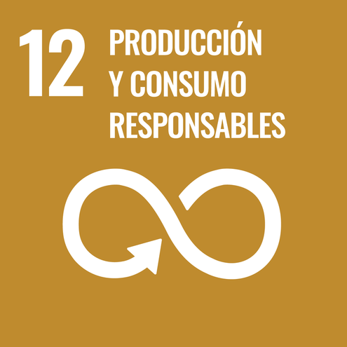 SDG icon
