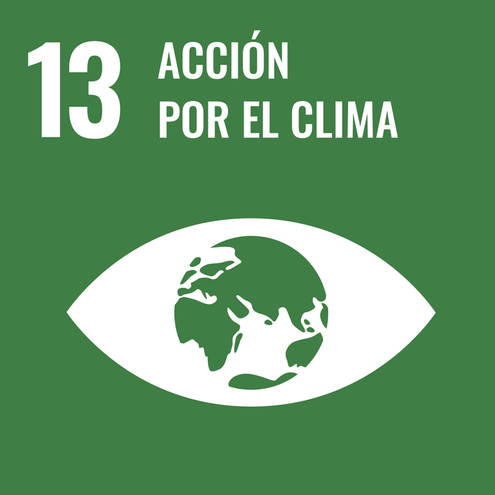 SDG icon