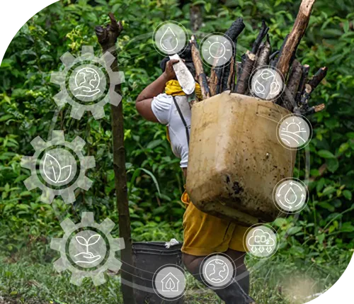 Bioeconomía y naturaleza