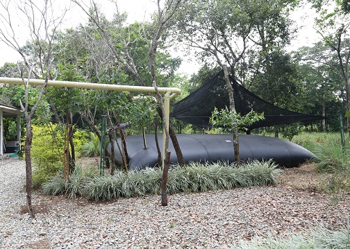 Cosecha de agua