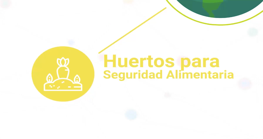 Huertos para seguridad alimentaria