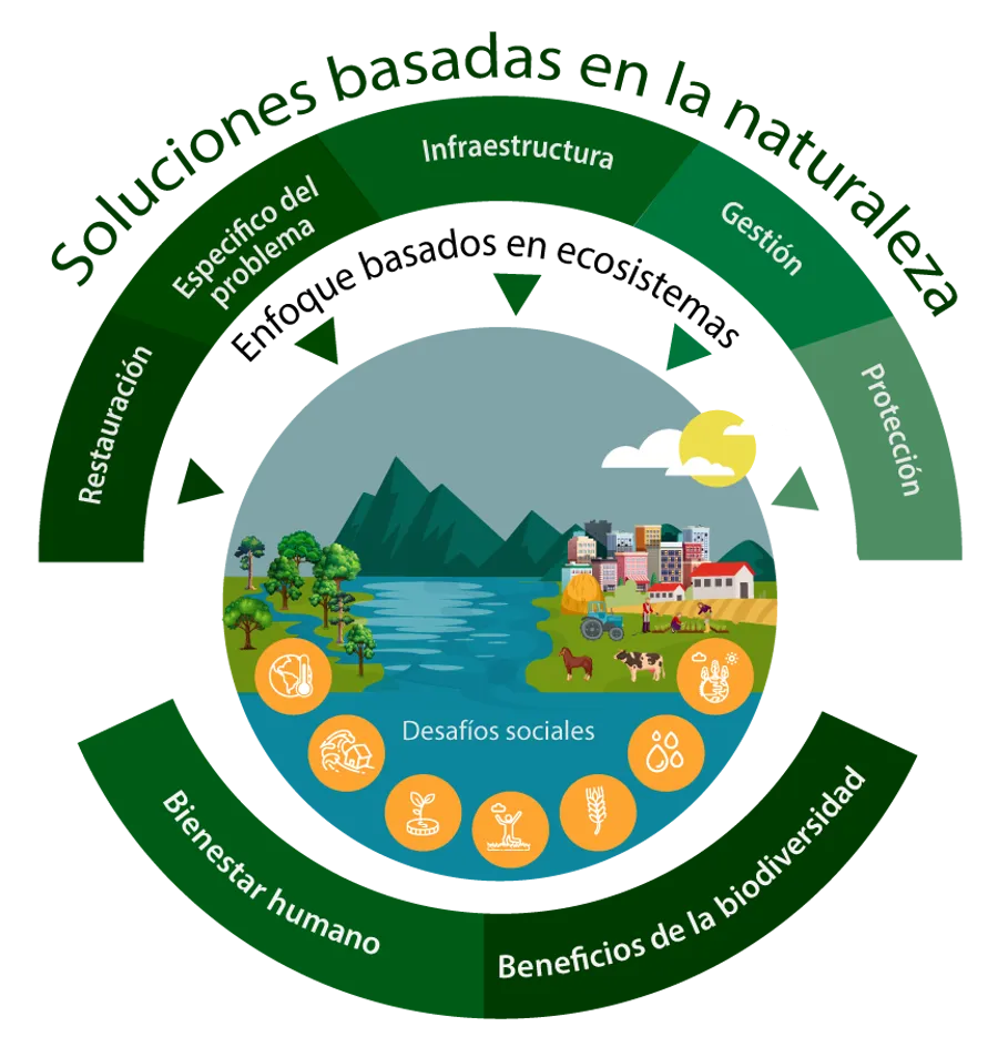 Gráfico SbN