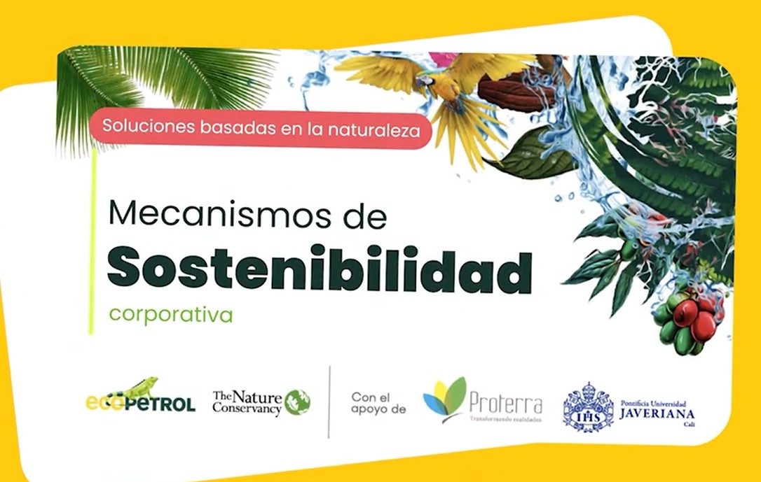 Mecanismos de sostenibilidad corporativa