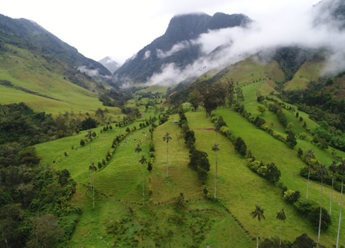 Restauración de la conectividad del paisaje agropecuario 