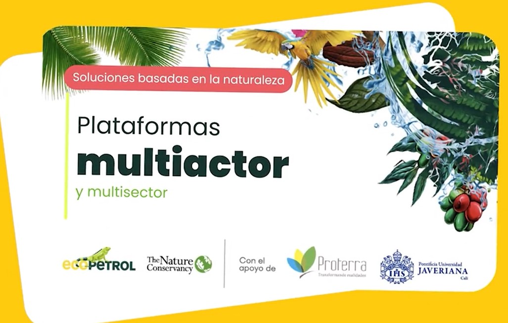 Plataformas multiactor y multisector