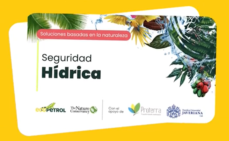 Seguridad hídrica